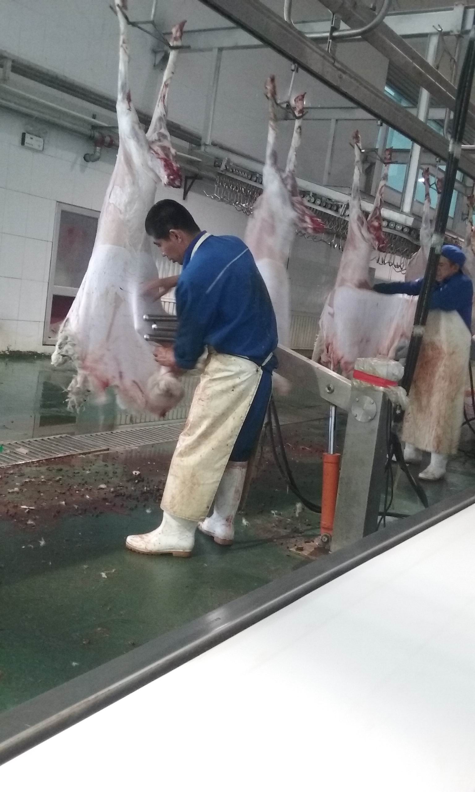 羊肉為什么要排酸？